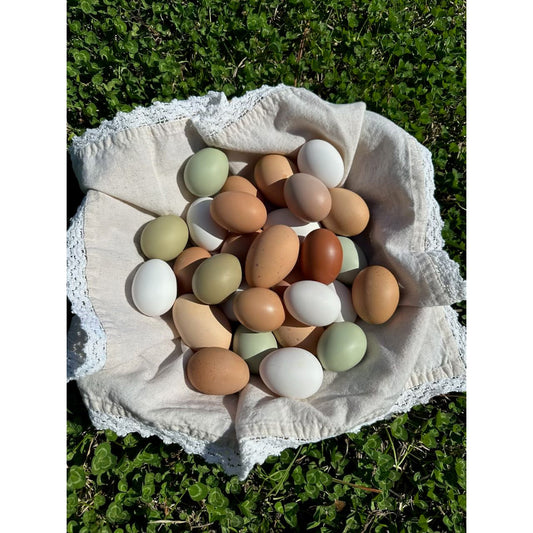 Multicolored Pasture Raised Eggs
